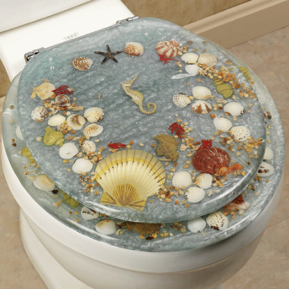 Acrylic best sale toilet seats
